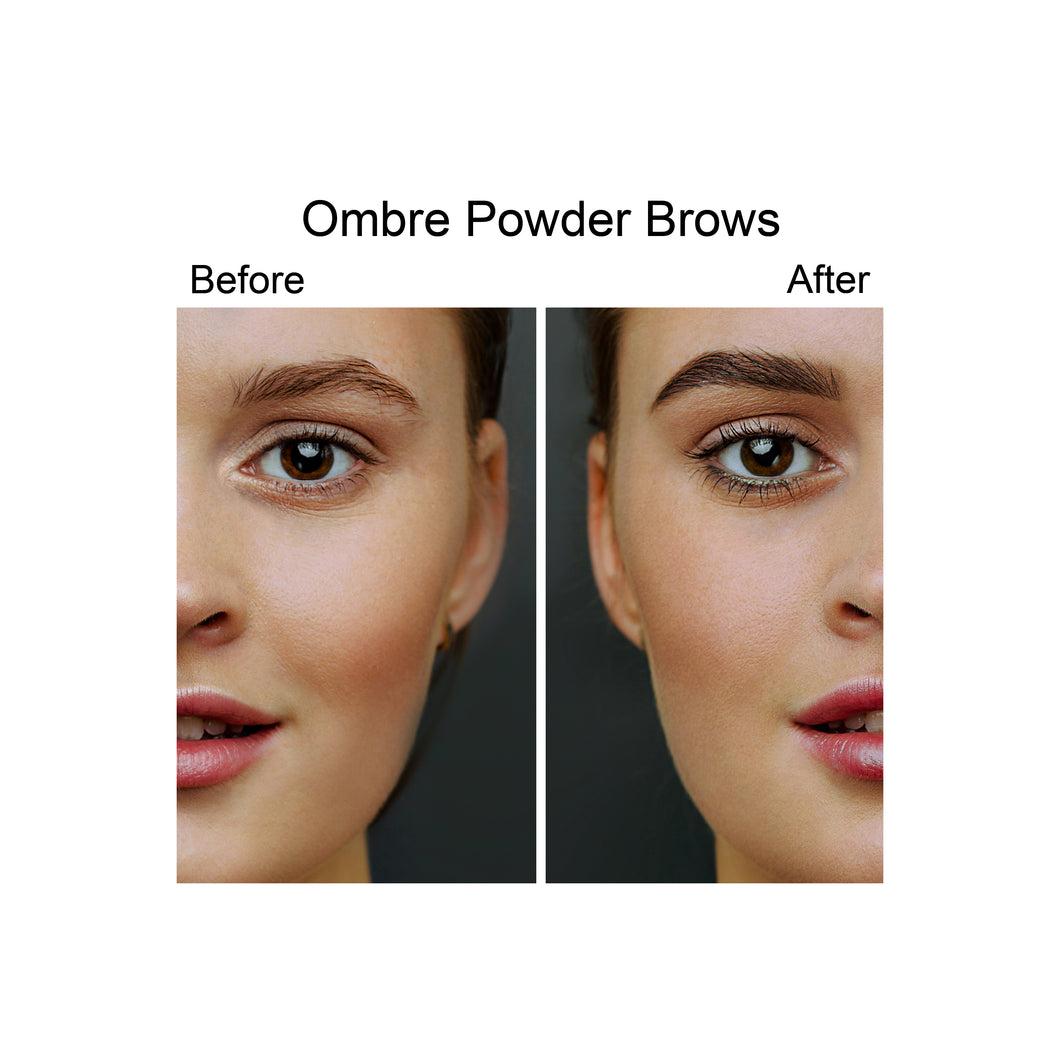 Ombre Powder Brows single session no touch up - PARASCALPMICRO INSTITUTE permanent makeup cosmetic tattoo training certification school class